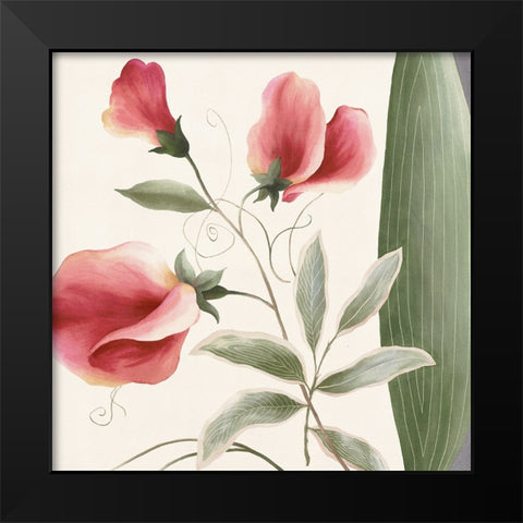 Passion Flower Black Modern Wood Framed Art Print by Unknown