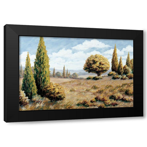 Windswept Valley Black Modern Wood Framed Art Print by Unknown