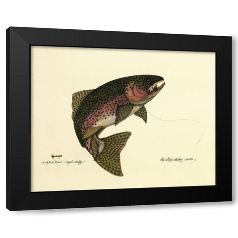 Rainbow Trout Black Modern Wood Framed Art Print with Double Matting by Unknown