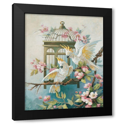 Two Cockatiels Black Modern Wood Framed Art Print with Double Matting by Unknown