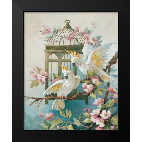 Two Cockatiels Black Modern Wood Framed Art Print by Unknown