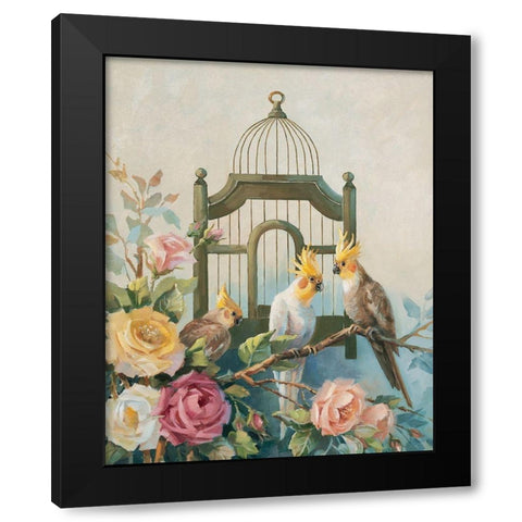 Three Cockatiels Black Modern Wood Framed Art Print with Double Matting by Unknown