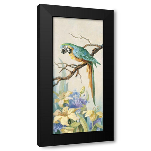 Parrot Panel II Black Modern Wood Framed Art Print by Unknown