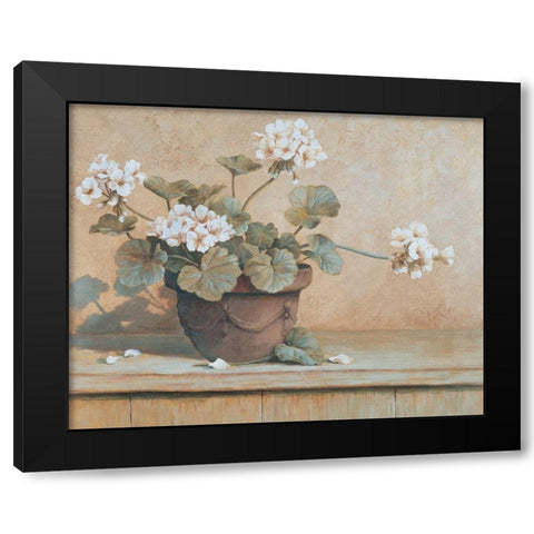 Potted Geranium I Black Modern Wood Framed Art Print by Unknown