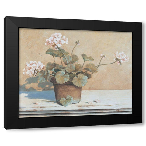 Potted Geranium II Black Modern Wood Framed Art Print by Unknown