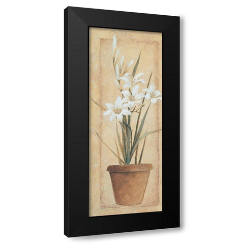 Potted Lily Black Modern Wood Framed Art Print by Unknown
