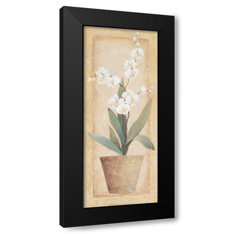 Potted Amarylis Black Modern Wood Framed Art Print by Unknown