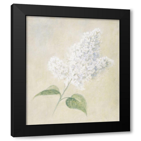 White Azalea Black Modern Wood Framed Art Print with Double Matting by Unknown