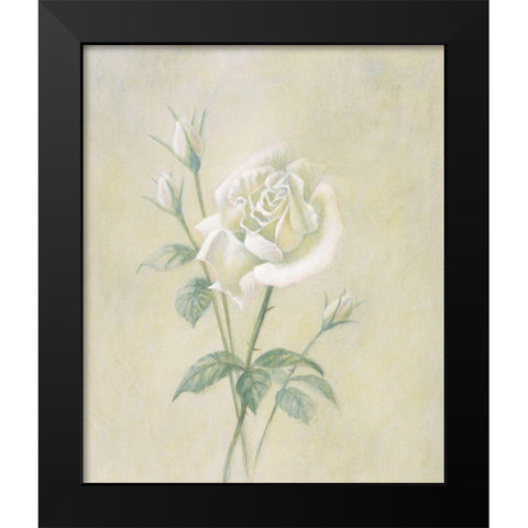 White Rose Black Modern Wood Framed Art Print by Unknown