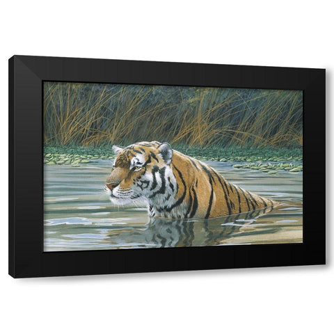 Bengal Tiger Black Modern Wood Framed Art Print with Double Matting by Unknown