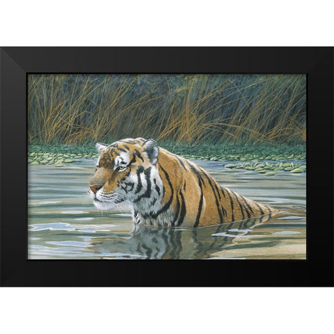 Bengal Tiger Black Modern Wood Framed Art Print by Unknown