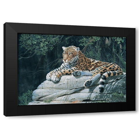 Jaguar Black Modern Wood Framed Art Print with Double Matting by Unknown
