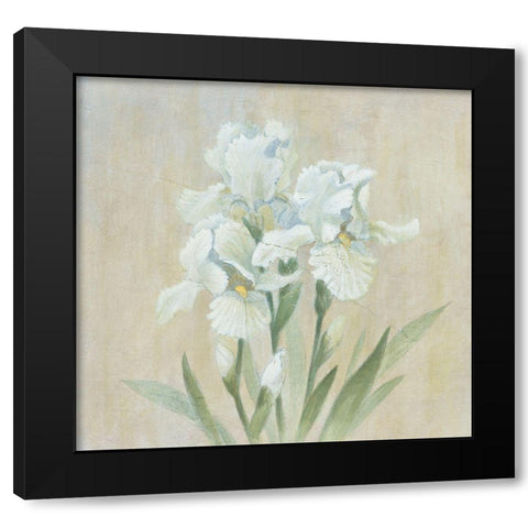 White Gladiola Black Modern Wood Framed Art Print by Unknown
