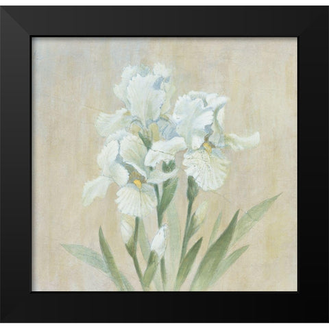 White Gladiola Black Modern Wood Framed Art Print by Unknown