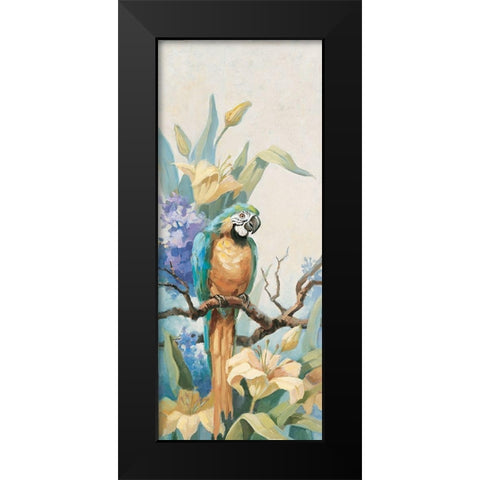 Parrot Panel II Black Modern Wood Framed Art Print by Unknown
