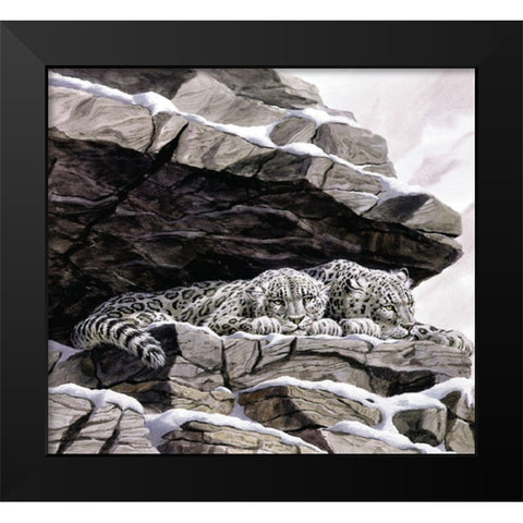 Snow Leopards Black Modern Wood Framed Art Print by Unknown