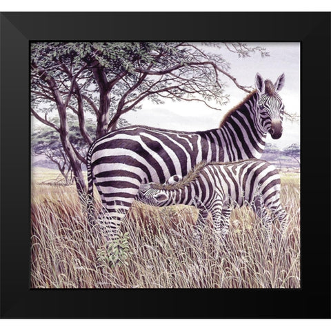 Zebras Black Modern Wood Framed Art Print by Unknown