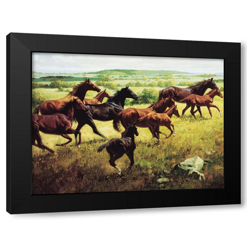 Wild Horses I Black Modern Wood Framed Art Print with Double Matting by Unknown