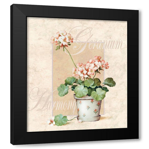 Giranium Black Modern Wood Framed Art Print by Unknown