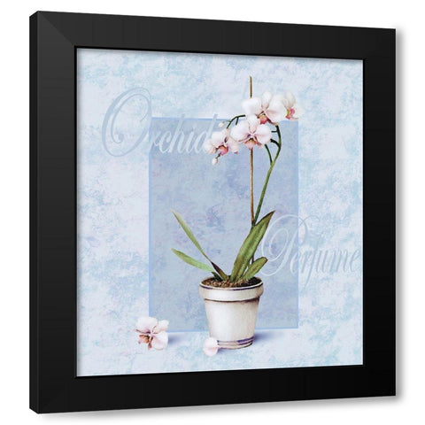 Orchid Black Modern Wood Framed Art Print with Double Matting by Unknown