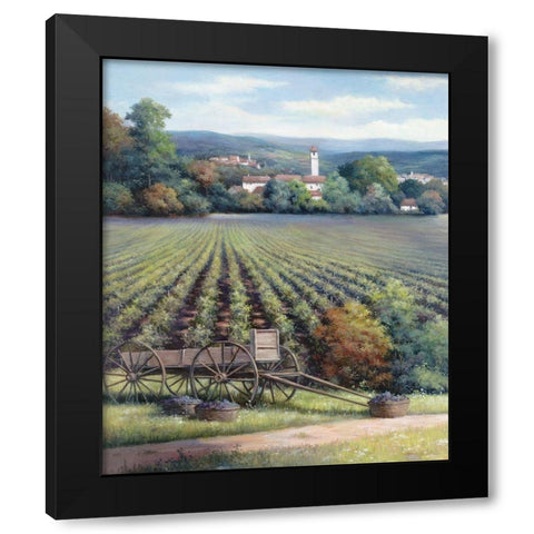 Vineyards I Black Modern Wood Framed Art Print by Unknown