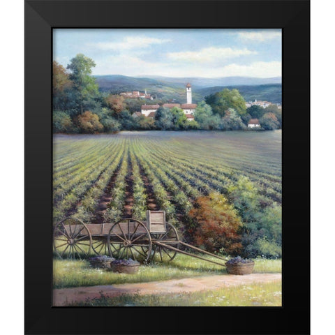 Vineyards I Black Modern Wood Framed Art Print by Unknown