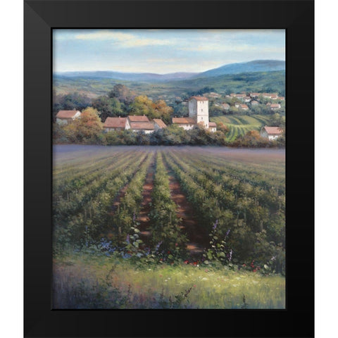 Vineyards II Black Modern Wood Framed Art Print by Unknown