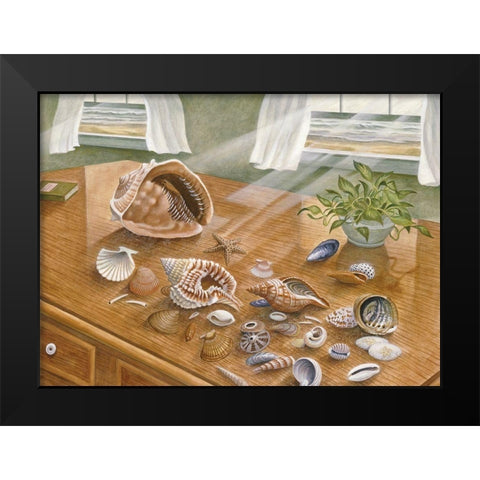 Seashells II Black Modern Wood Framed Art Print by Unknown