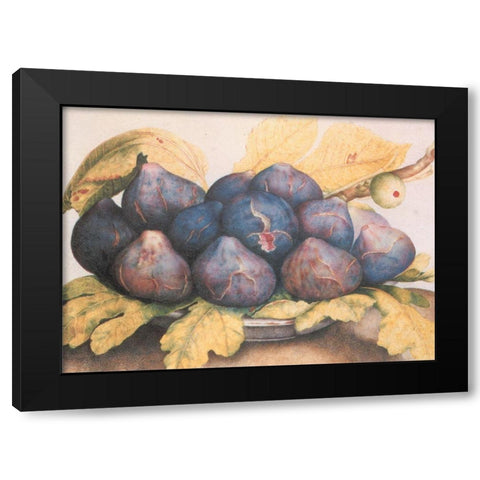 Figs Black Modern Wood Framed Art Print with Double Matting by Unknown