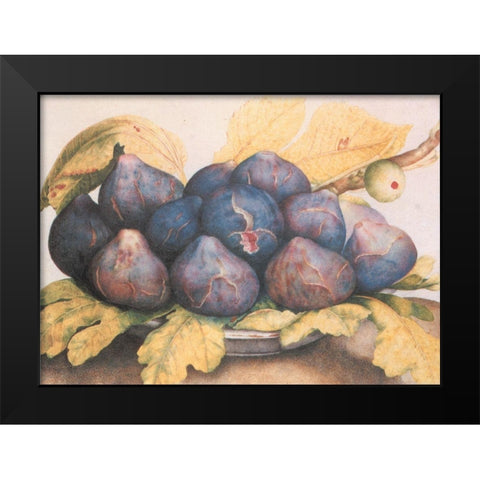 Figs Black Modern Wood Framed Art Print by Unknown
