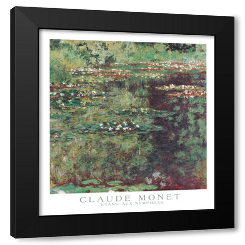 Etang aux Nympheas Black Modern Wood Framed Art Print with Double Matting by Monet, Claude