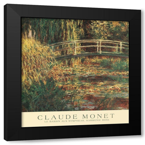 Le Bassin aux Nympheas Black Modern Wood Framed Art Print with Double Matting by Monet, Claude