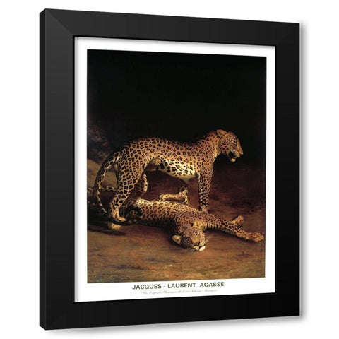 Twp Leopards Black Modern Wood Framed Art Print by Agasse, Jacques-Laurent