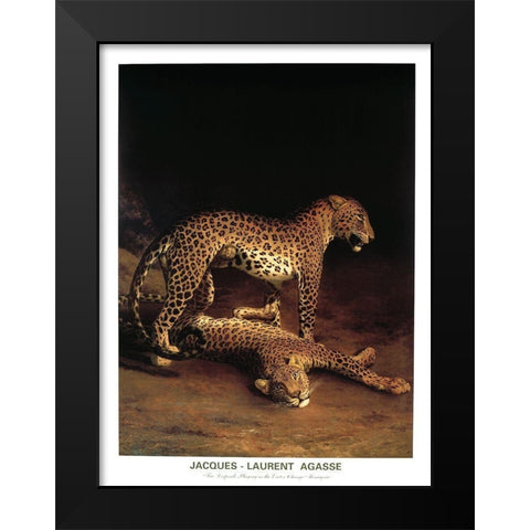 Twp Leopards Black Modern Wood Framed Art Print by Agasse, Jacques-Laurent