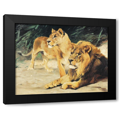 Two Lions Black Modern Wood Framed Art Print by Unknown
