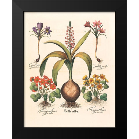 Bulb Botanical Black Modern Wood Framed Art Print by Unknown