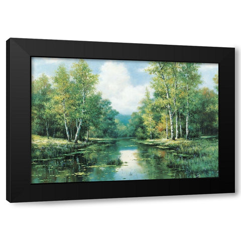 Placid Stream I Black Modern Wood Framed Art Print with Double Matting by Unknown
