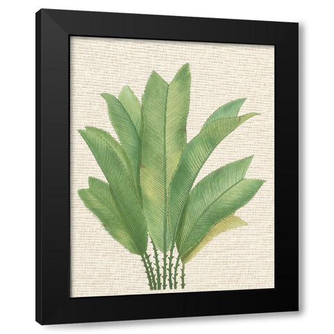 Palm Fronds I Black Modern Wood Framed Art Print by Unknown