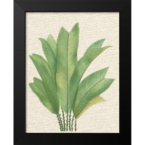 Palm Fronds I Black Modern Wood Framed Art Print by Unknown