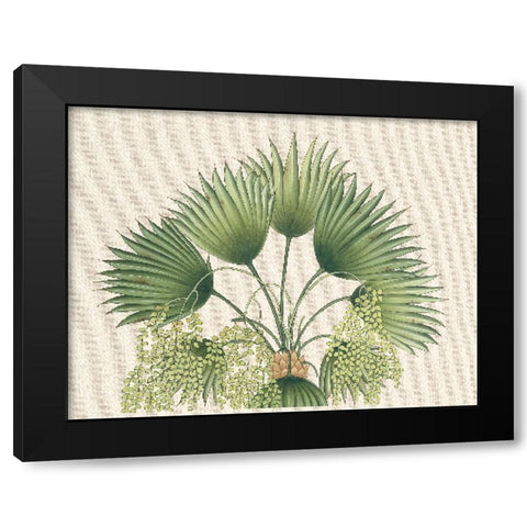 Palm Fronds II Black Modern Wood Framed Art Print by Unknown