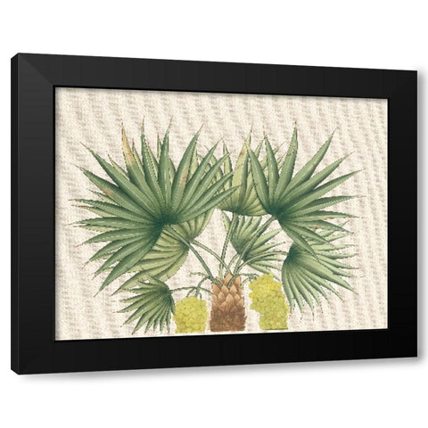Palm Fronds III Black Modern Wood Framed Art Print by Unknown