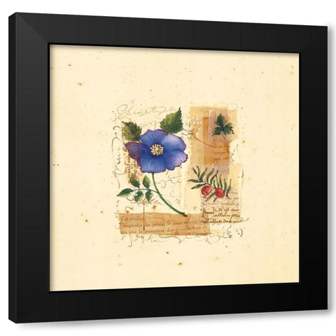 Parisian Pansy I Black Modern Wood Framed Art Print by Unknown