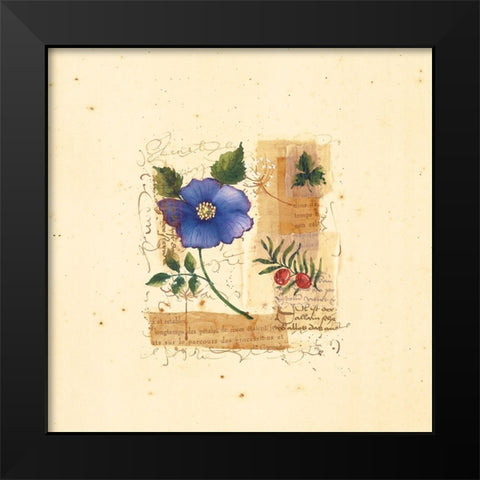 Parisian Pansy I Black Modern Wood Framed Art Print by Unknown