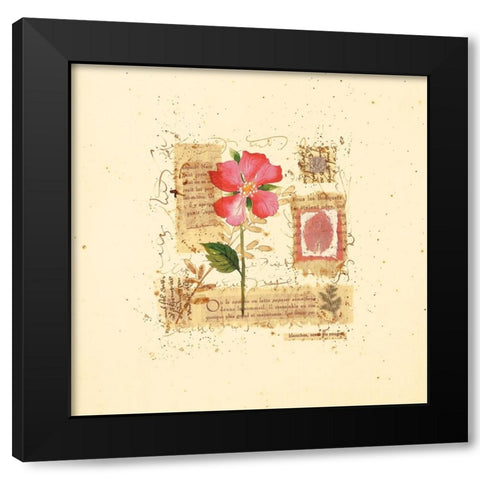 Parisian Pansy II Black Modern Wood Framed Art Print by Unknown