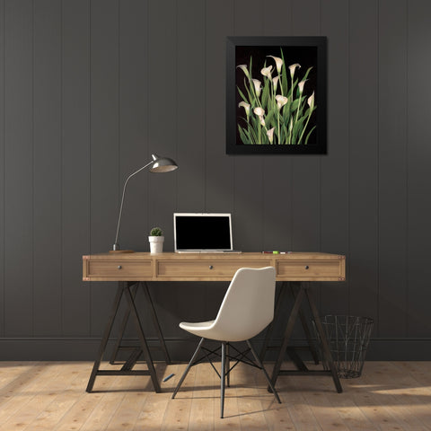 Lily I Black Modern Wood Framed Art Print by Unknown