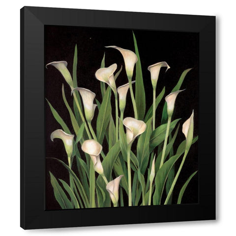 Lily I Black Modern Wood Framed Art Print with Double Matting by Unknown