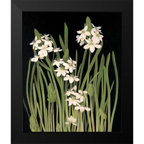 Lily II Black Modern Wood Framed Art Print by Unknown