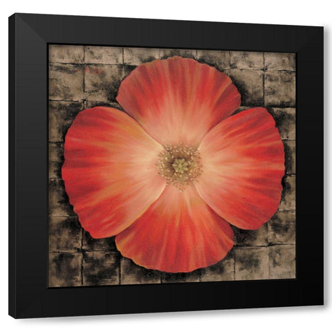 Red Poppy I Black Modern Wood Framed Art Print by Unknown
