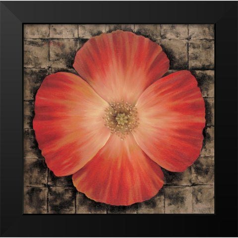 Red Poppy I Black Modern Wood Framed Art Print by Unknown