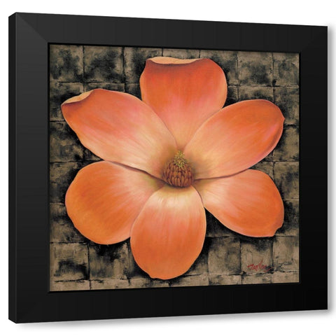 Red Poppy II Black Modern Wood Framed Art Print with Double Matting by Unknown